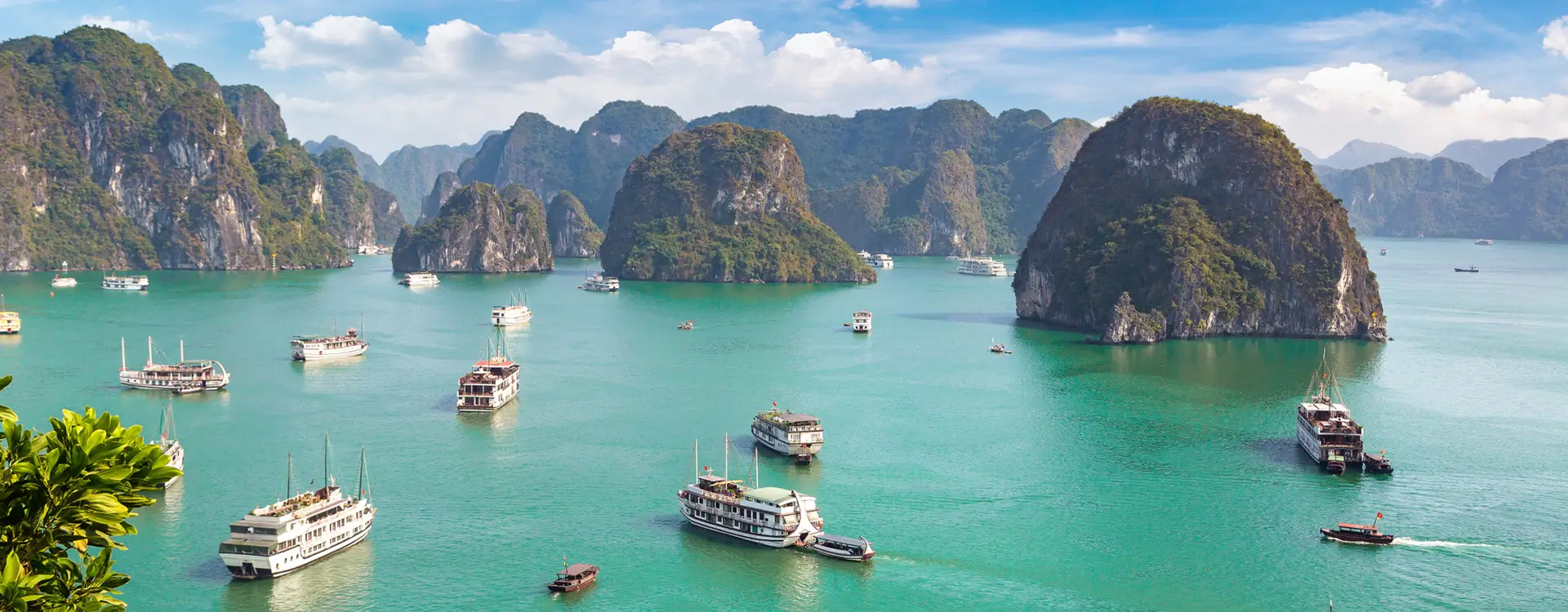 Viện Tim Mạch Việt Nam
